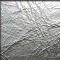 Embossing Photo #2